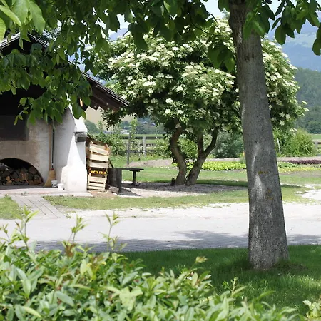 Farm stay Appartementhaus Lechnerhof *
